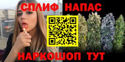 ГАЛЛЮЦИНОГЕННЫЕ ГРИБЫ Новодвинск