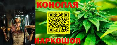 ГАЛЛЮЦИНОГЕННЫЕ ГРИБЫ Новодвинск