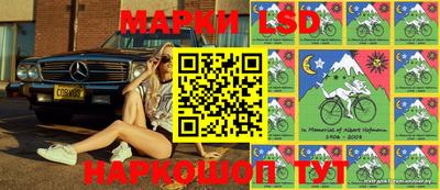 гашик Новокубанск